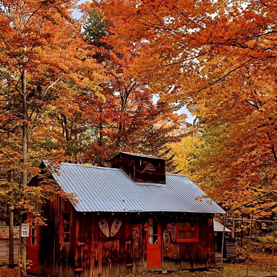 Les Chalets Sur Le Cap Saint Joachim エクステリア 写真